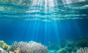 深海采矿行业面临困境 2023深海采矿市场深度分析报告