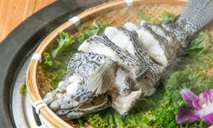 中国石斑鱼行业养殖现状 中国石斑鱼行业产量及养殖规模分析