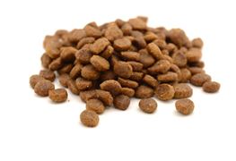 2023年我国宠物食品行业市场规模 宠物食品市场的最大特点