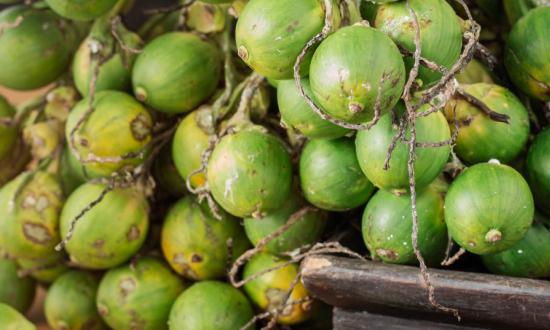 2023中国农副食品加工行业发展投融资分析