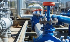 中国核阀门行业全景调研与发展研究分析