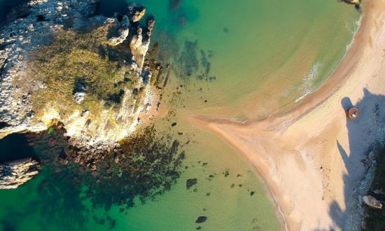 硅藻泥市场:硅藻泥行业发展态势与前景预测2023