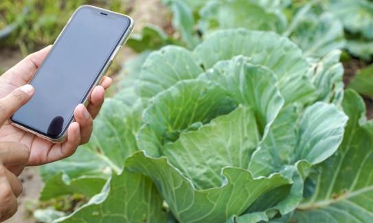 中国互联网+现代农业行业市场发展现状