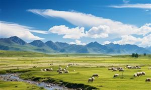 中国畜牧行业市场规模 畜牧业整体运行指标分析