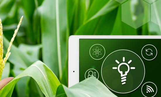 中国互联网+现代农业行业发展趋势 “十四五”中国互联网+现代农业行业市场分析