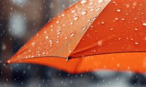 外贸订单对于我国制伞业来说十分重要 雨伞市场供需格局研究