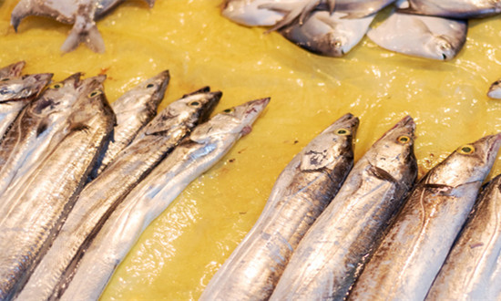 2023带鱼养殖行业发展现状分析及市场前景