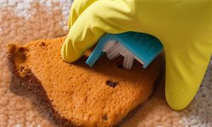 家政服务市场现状分析及发展前景趋势预测2023