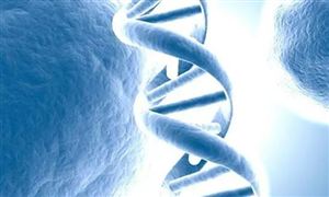 国内基因测序行业正处于蓝海期 2023基因测序行业发展分析及投资前景