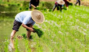 全国现代设施农业规模将进一步扩大 2023年中国设施农业行业发展分析