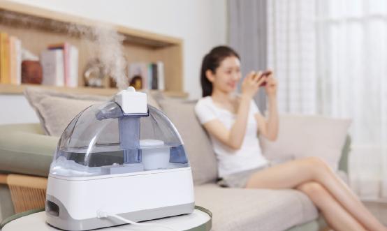 2023年空气加湿器行业市场深度分析及发展策略研究