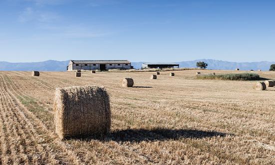 秸秆发电行业发展如何?秸秆发电行业市场全景调研2023