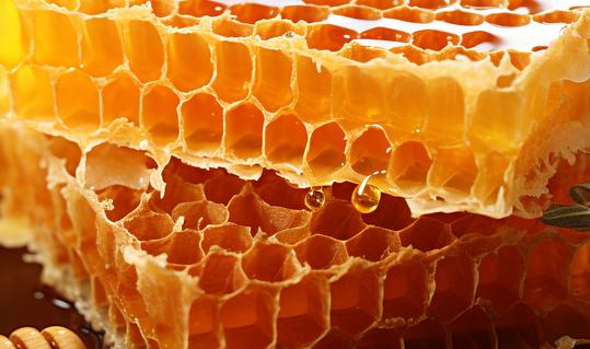 2023年中国蜂胶市场发展现状