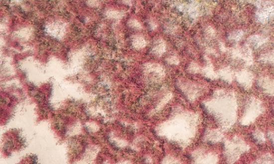 中国烧碱市场深度全景调研：国内烧碱供需持续增长