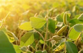 中国绿色贷款余额超过27万亿元 险资多举措加码绿色投资