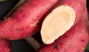 中国红薯种植面积已超2000万亩 2023年中国红薯食品市场发展现状