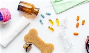 宠物老龄化趋势到来 宠物医药市场投资价值