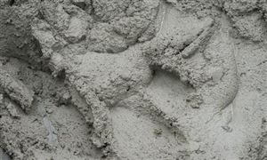 2023环保水泥市场深度全景调研 需求端下半年预测