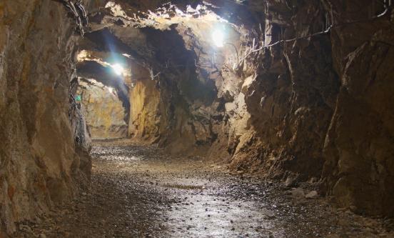 镍铁行业“金九银十”市场展望 镍铁行业供给与需求状况深度调查分析2023