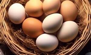 中国鸡蛋行业供需格局分析 2023年鸡蛋行业市场趋势预测