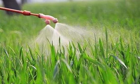 环保农药行业发展研究 农药市场整体景气回落