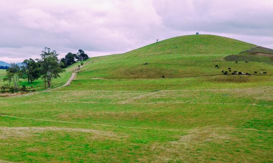牧草饲料行业发展方向 牧草饲料产业投资前景分析