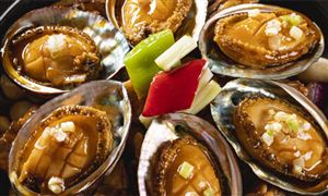 2023鲍鱼行业分析：鲍鱼在C端的渗透率仍有提高空间 金字塔型产品结构是开发方向