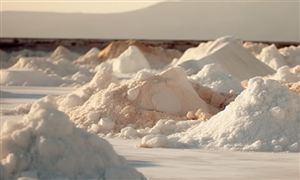 厂家密集检修 产品烧碱主力期货品种连续大涨 国内烧碱供需持续增长