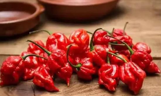 2023辣椒素行业市场发展现状趋势分析