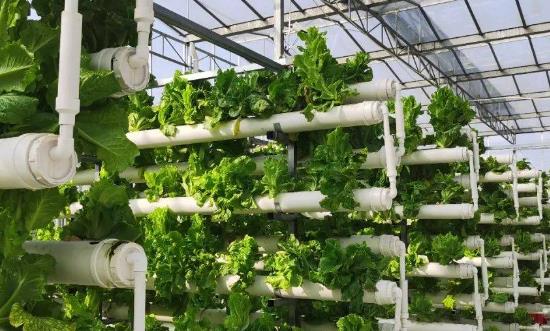 现代农业行业市场深度分析：新型农业、农业电商渗透度不断提升