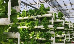 现代农业行业市场深度分析：新型农业、农业电商渗透度不断提升