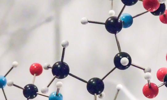 2023年中国分子育种行业发展现状