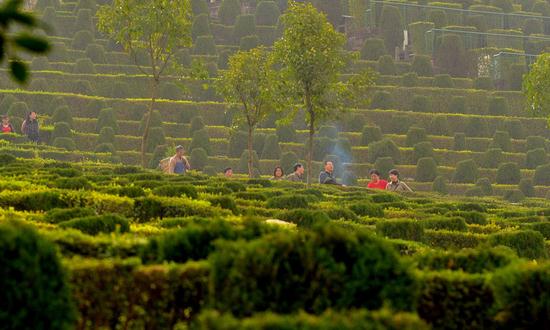 陵园墓地行业发展趋势及现状分析2023 中国墓园服务网点的布点远远不足