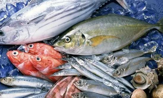 水产品流通行业发展分析 预计到2026年我国人均水产品消费量将超过23千克