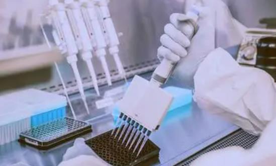 医药研发行业发展分析：未来CRO市场规模将进一步扩大