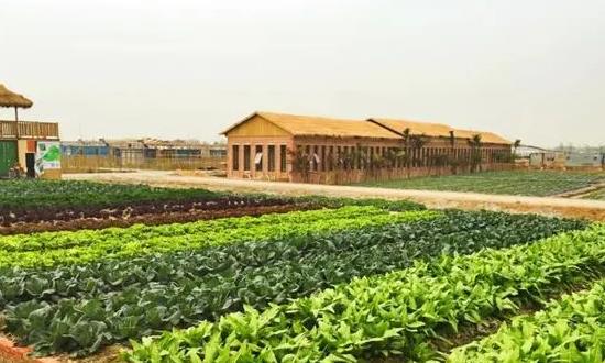 2023共享农场行业发展现状前景分析