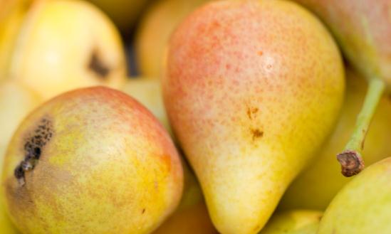 梨行业分析报告 梨发展前景及市场销售情况分析