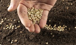 我国将加快推进种业振兴“五大行动” 种业市场发展及战略规划分析