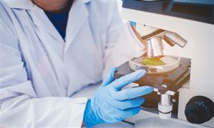 生物育种行业分析：生物育种产业化有序推进 未来可能进入智能育种时代