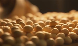 2023转基因技术行业发展现状及未来市场前瞻