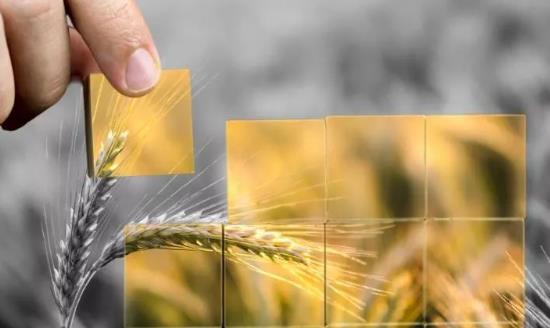 农村金融体系发展调研 改变长期以来信贷资金供需不平衡的局面