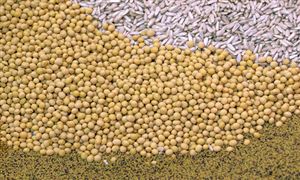 转基因种子技术壁垒较高 转基因种子行业市场发展分析2023