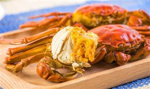 产量有望创历史新高 这里的河蟹火到海外 预计今年河蟹产量将创历史新高