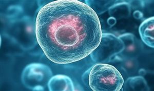 我国首个人源干细胞国家标准发布 推动行业标准化发展 