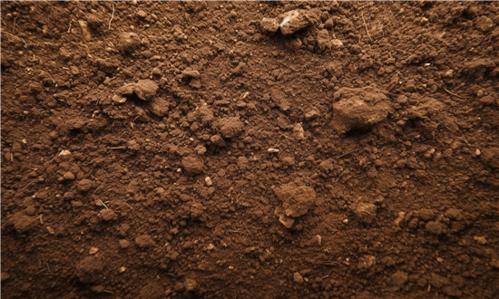 活性凹土产业发展如何 活性凹土市场规模预测分析