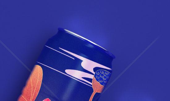 电子包装行业市场深度调研及投资前景分析2023