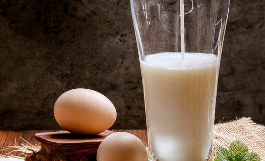 2023年纯牛奶行业市场发展现状分析：中国纯牛奶产量将达到403.5万吨