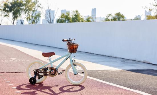 中国儿童单车行业深度调研与发展趋势预测研究