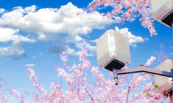 2023年动漫影视行业市场发展现状调查分析