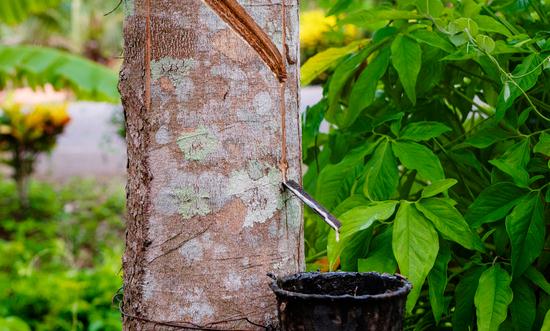 合成橡胶行业市场深度调研与市场趋势预测